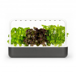 Click & Grow - Smart Garden 9 Startsæt (Farve: Mørkegrå) (SG9S8UNI) Click & Grow - Smart Garden 9 Startsæt (Farve: Mørkegrå) (SG9S8UNI)