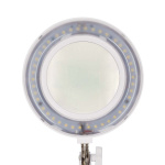 Nedis Forstørrende Bordlampe | Linse styrke: 3 Diopter | 6500 K | 6 W | 700 lm | Hvid