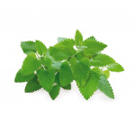 Click & Grow Smart Garden Refill 3-pak - Katteurt (SGR29X3)