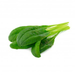 Click & Grow Smart Garden Refill 3-pak Mibuna Click & Grow Smart Garden Refill 3-pak Mibuna