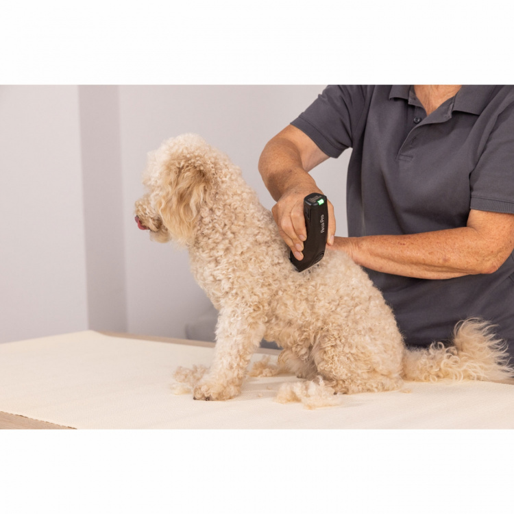 Wahl Sladdlösa ArcoPro Clipper