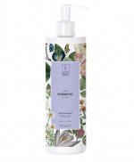 Raunsborg Shampoo fugt og reparation Raunsborg Shampoo fugt og reparation