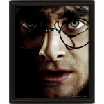 Pyramid International HARRY POTTER (HARRY VS VOLDEMORT) - INDRAMMET