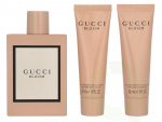 Gucci Bloom Giftset 200 ml Edp Spray 100ml/Body Lotion 50ml/Shower Gel 50ml