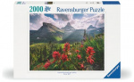 Ravensburger Uberørte bjerge - 2000p (12001415)