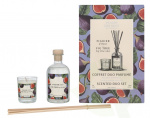 Panier Des Sens Scented Duo Set 310 ml Fig Tree Diffuser 240ml/Fig Tree 70gr
