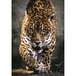 Clementoni Puslespil 1000 Pcs CB High Quality Collection Walk Of The Jaguar