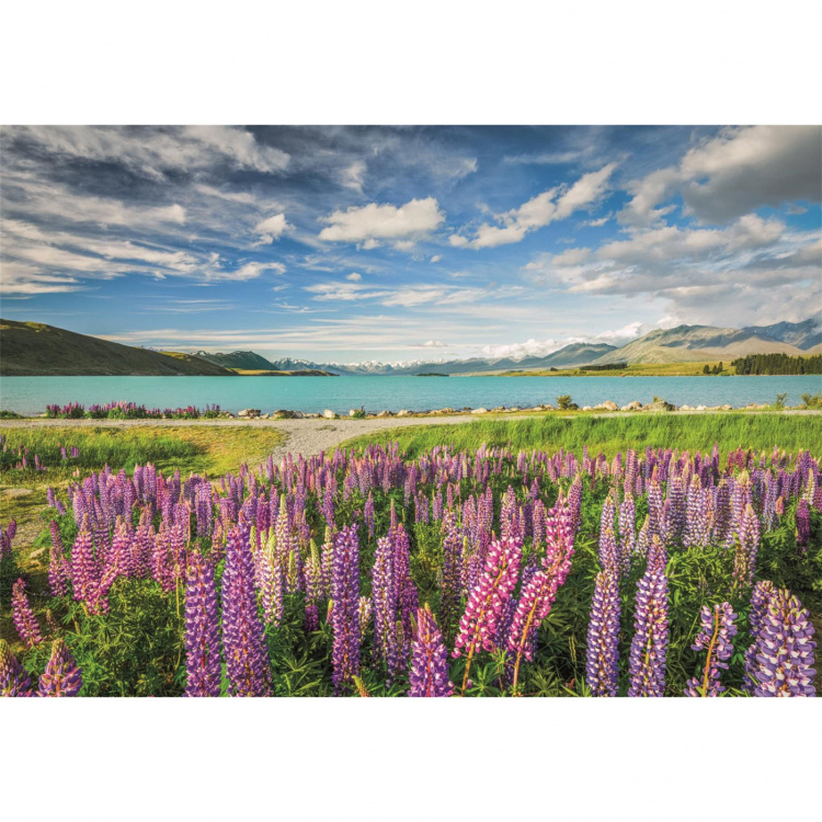 Clementoni Puslespil 1500 Pcs CB High Quality Collection Lupins At Lake Tekapo