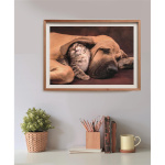 Clementoni Puslespil 500 Pcs CB High Quality Collection Cuddles