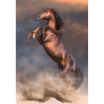 Clementoni Puslespil 500 Pcs CB High Quality Collection Wild Red Stallion