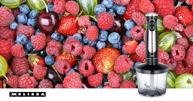 MELISSA Stavmixer med hakker og piskeris 600W sort/rustfrit stål