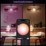 Philips Hue Essential Startkit White and Color Ambiance 2xE27 806lm + Hue Bridge