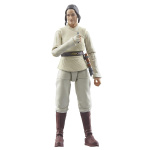 Star Wars The Vintage Collection 3.75 Inch (9,5cm) Figure Jedi Master Indara, Star Wars: The Acolyte