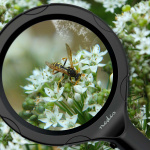 Nedis Håndholdte forstørrelsesglas | Linse styrke: 4 Diopter | 10000 K | 0.05 W | 9 lm | Sort