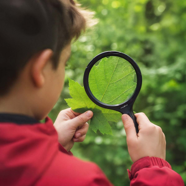 Nedis Håndholdte forstørrelsesglas | Linse styrke: 4 Diopter | 10000 K | 0.05 W | 9 lm | Sort