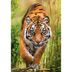 Clementoni Puslespil 1000 Pcs CB The Hunter\'s Path