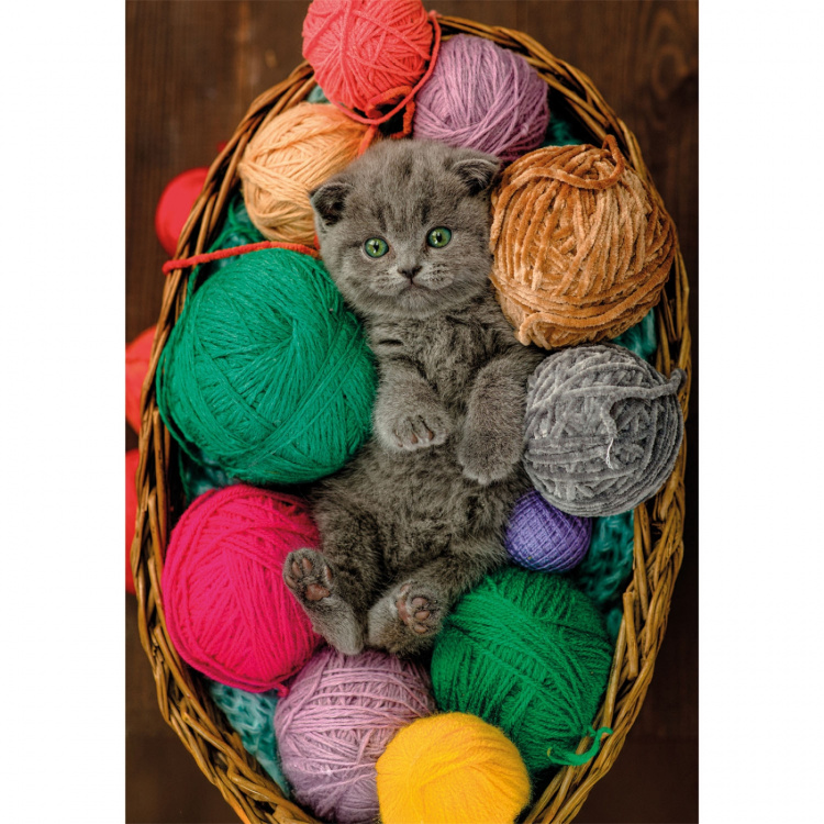 Clementoni Puslespil 500 Pcs CB High Quality Collection Fluffy Kitten