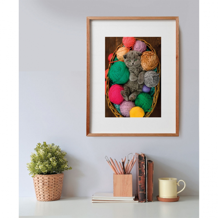 Clementoni Puslespil 500 Pcs CB High Quality Collection Fluffy Kitten