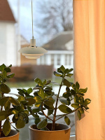 Aneta Vindueslampe EPSILON 15318-02Aneta