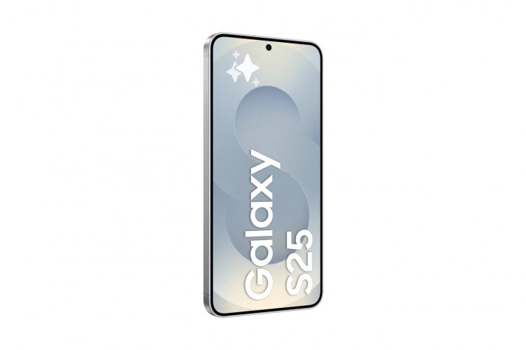Samsung Galaxy S25 128 GB - Silver Shadow Samsung
